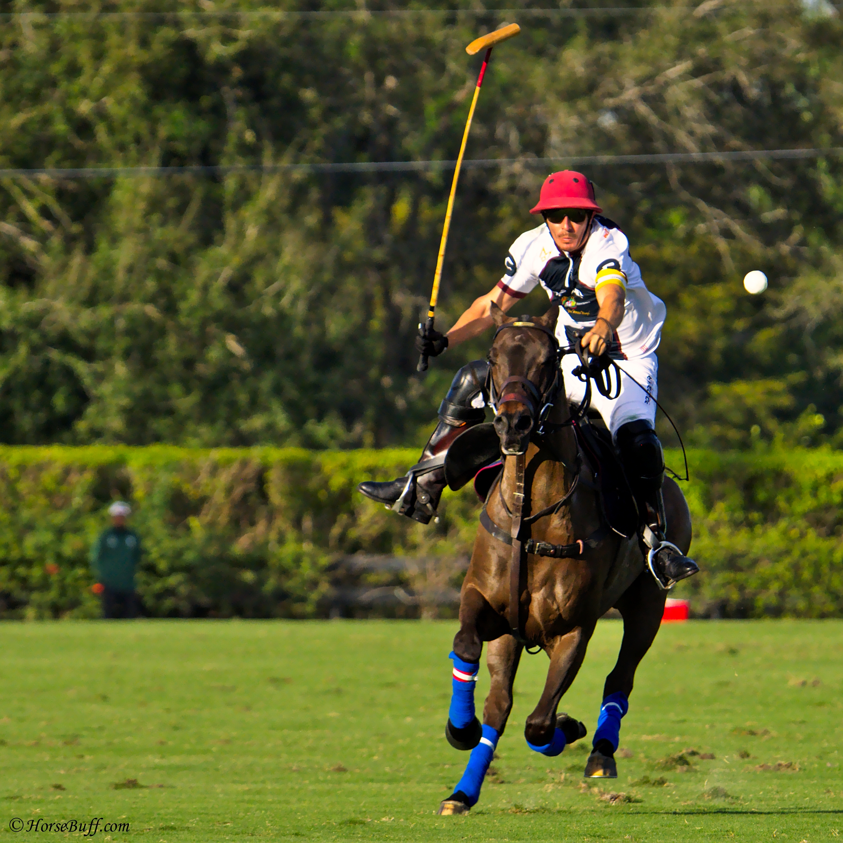 Gringo Columbres HorseBuff Polo