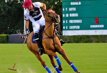 Polo Player Pony