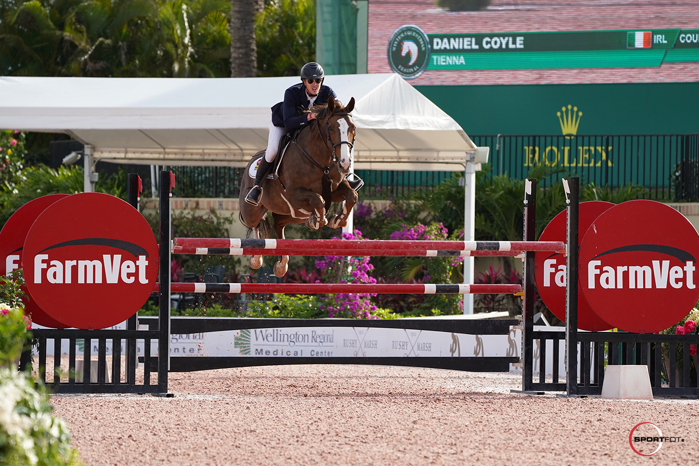 Daniel Coyle and Tienna. Photo © Sportfot