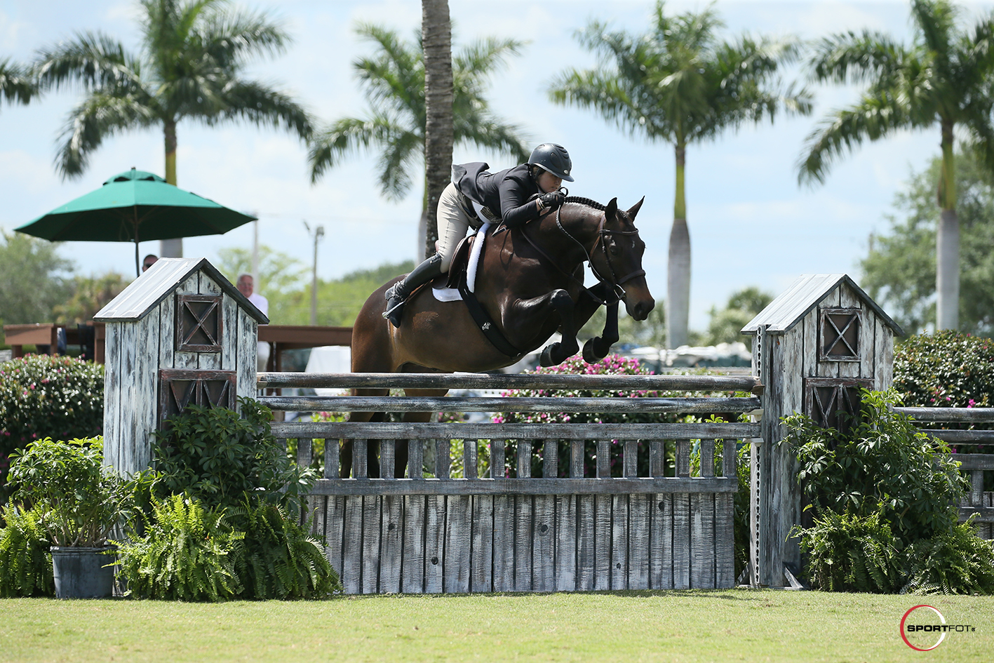 Victoria Colvin and El Primero. Photo © Sportfot