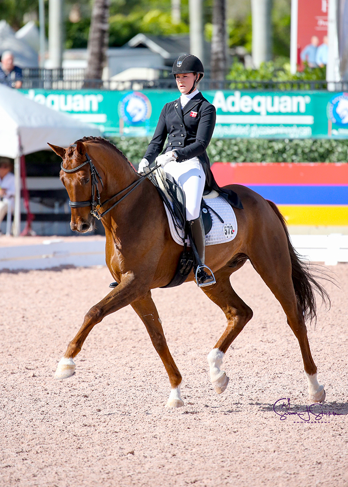 Danish rider Carina Nevermann Torup’s relationship with Dongseon Kim’s eight-year-old Bordolino 8 goes from strength to strength in week five, culminating in a plus-73% FEI Intermediate I Freestyle CDI3* victory.