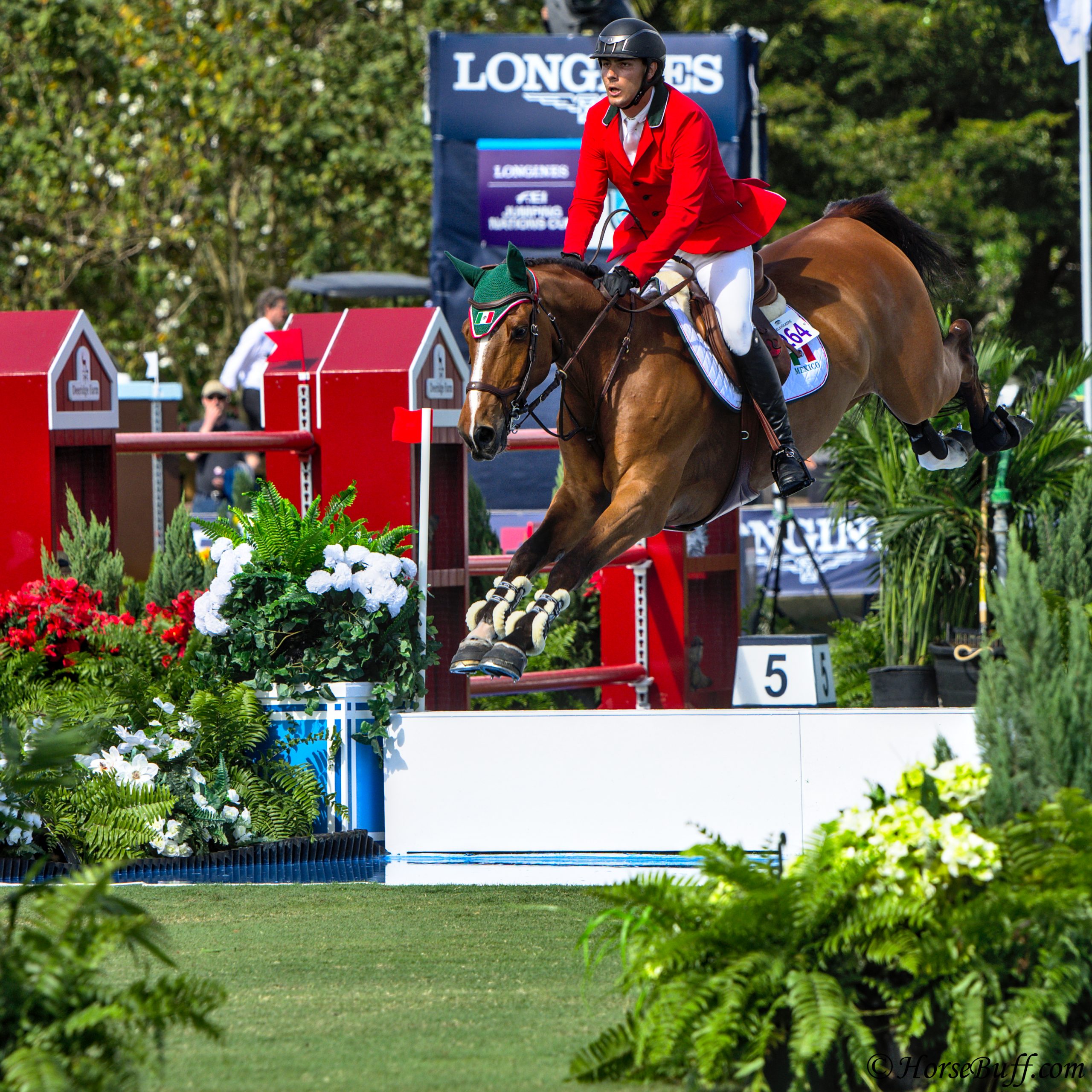 H5 Just the Music & Carlos Hank Guerreiro from team Mexico clearing water jump with ease. Longines FEI Jumping Nations Cup at Deeridge Farm.