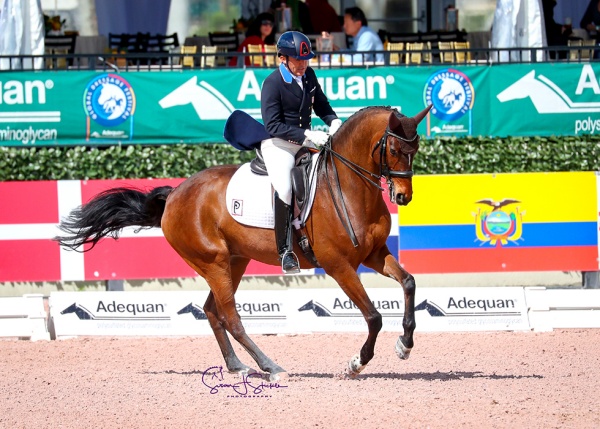 Cesar Parra (USA) rides Mr Bumblebee to a commanding victory in the FEI Intermediate I Freestyle CDI3* class with 75.535%.