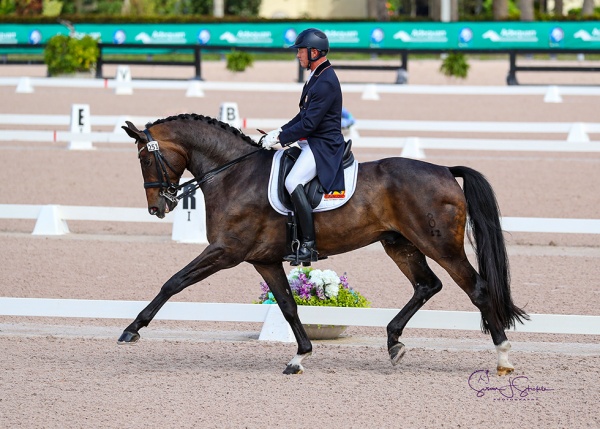 Jan Ebeling (USA) is forming a winning partnership with new ride Status Royal OLD, who is owned by Ann Romney.