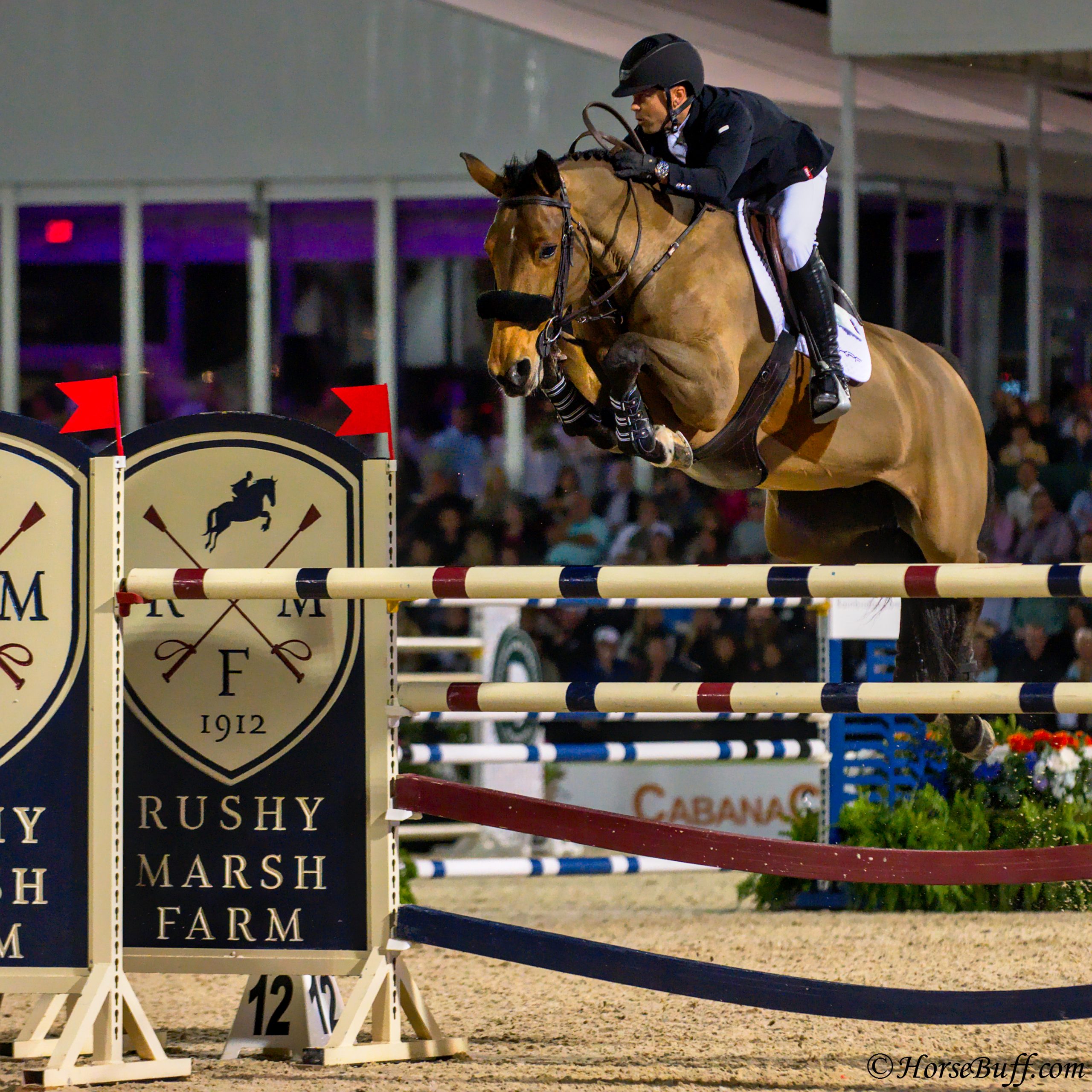 Kent Farrington and Gazelle