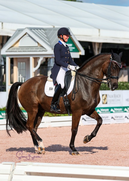 Katherine Bateson Chandler (USA) and the 15-year-old Alcazar are unbeatable in the FEI Grand Prix CDI5*, presented by CaptiveOne Advisors, winning on 71.935%.