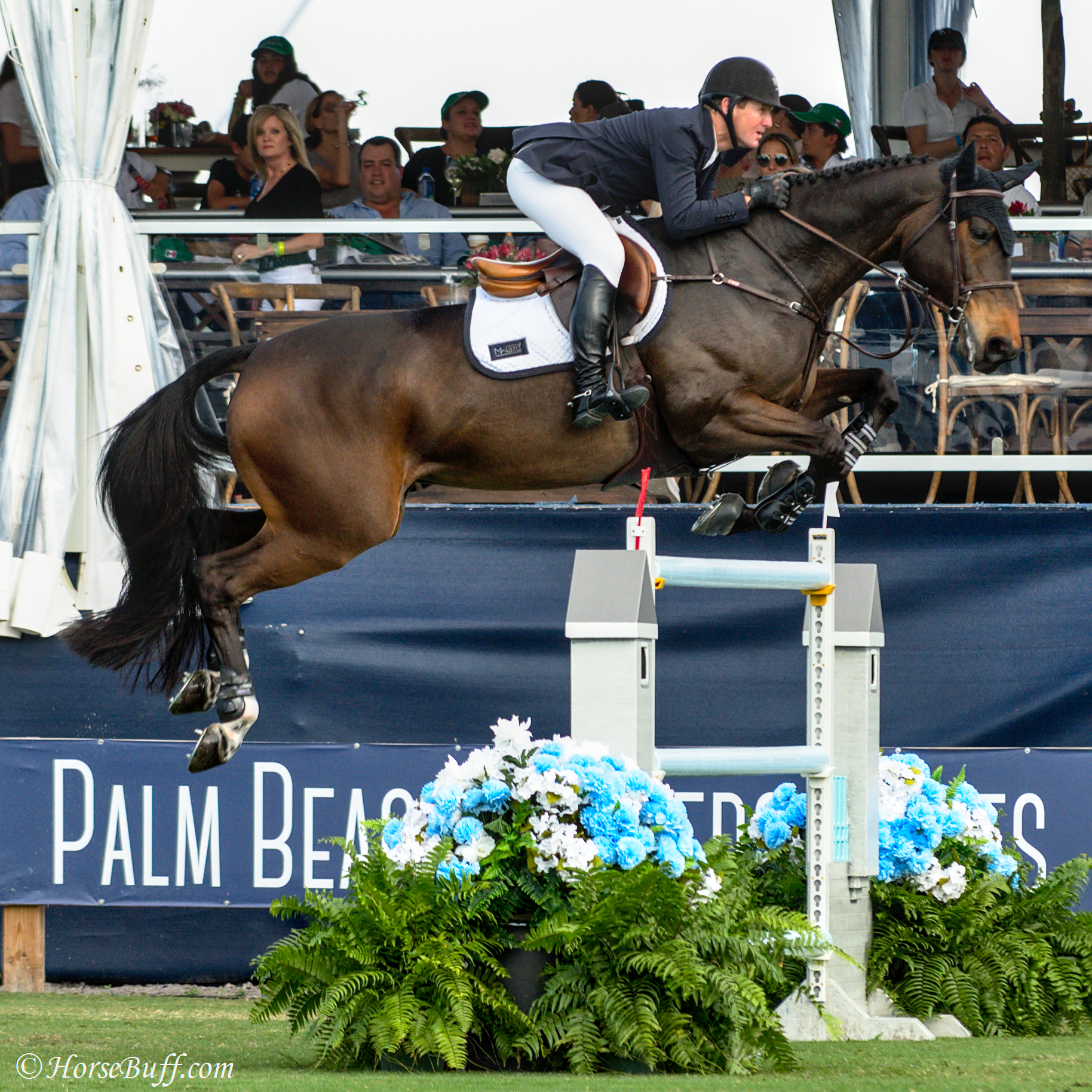 McLain Ward & Noche de Ronda