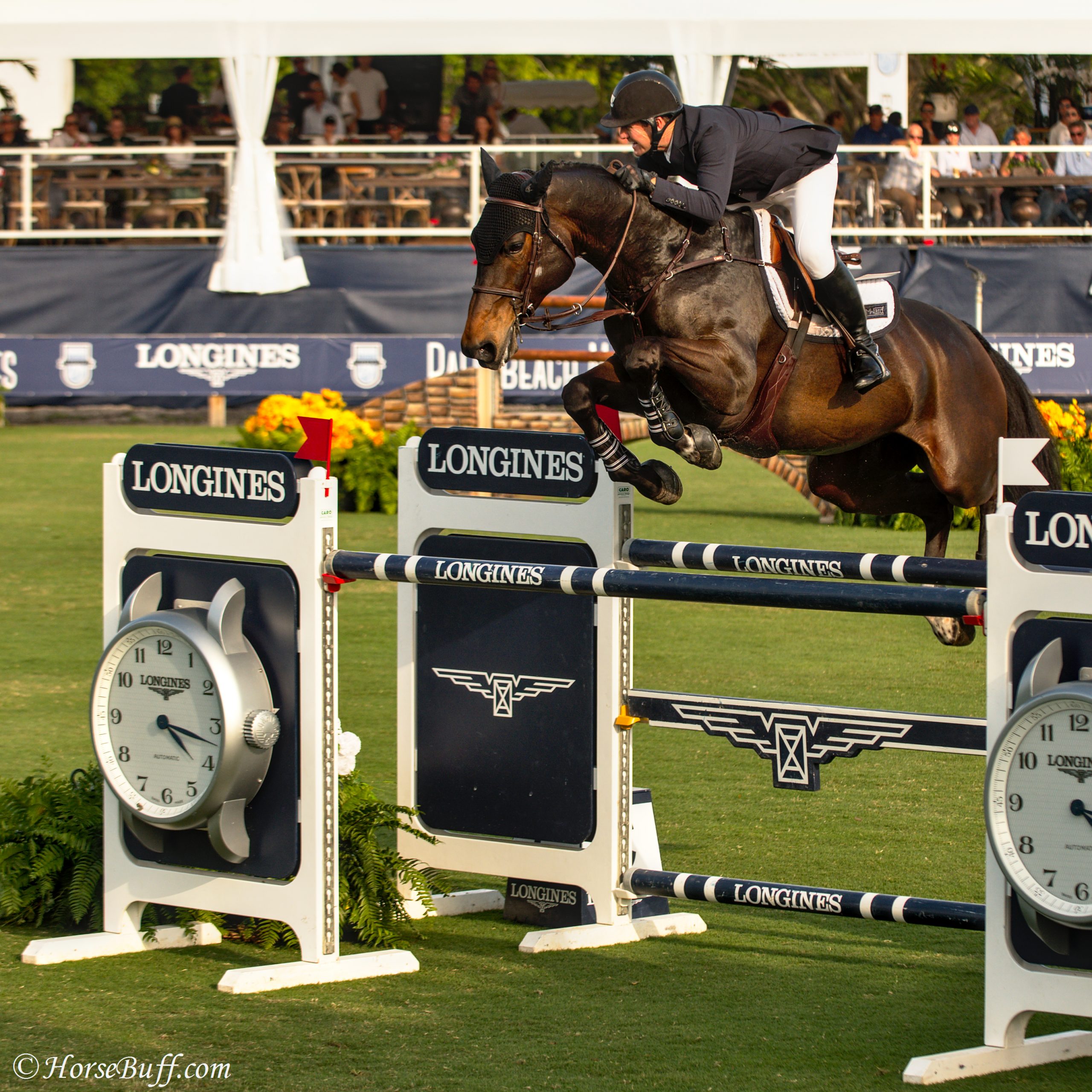 McLain Ward & Noche de Ronda