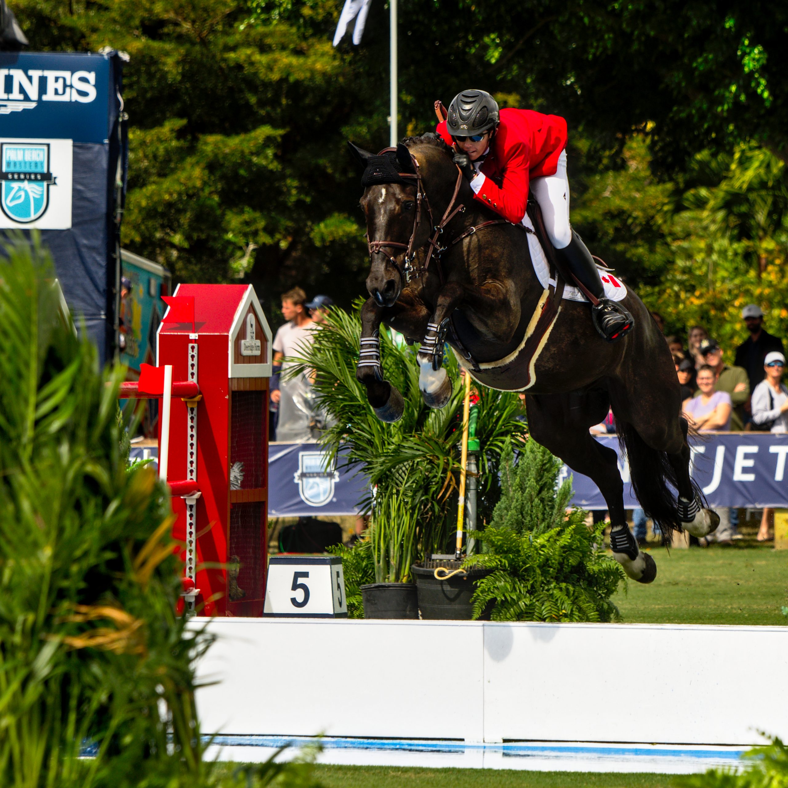 Sam Walker & Kel'star du Vingt Ponts representing team Canada flying over water jump at Longines FEI Jumping Nations Cup at Deeridge Farm