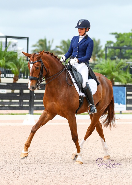 Sarah Lockman and the eight-year-old Belissimo M mare Balia claim the top spot in the Summit Farm Prix St. Georges Future Challenge class with 73.603%.