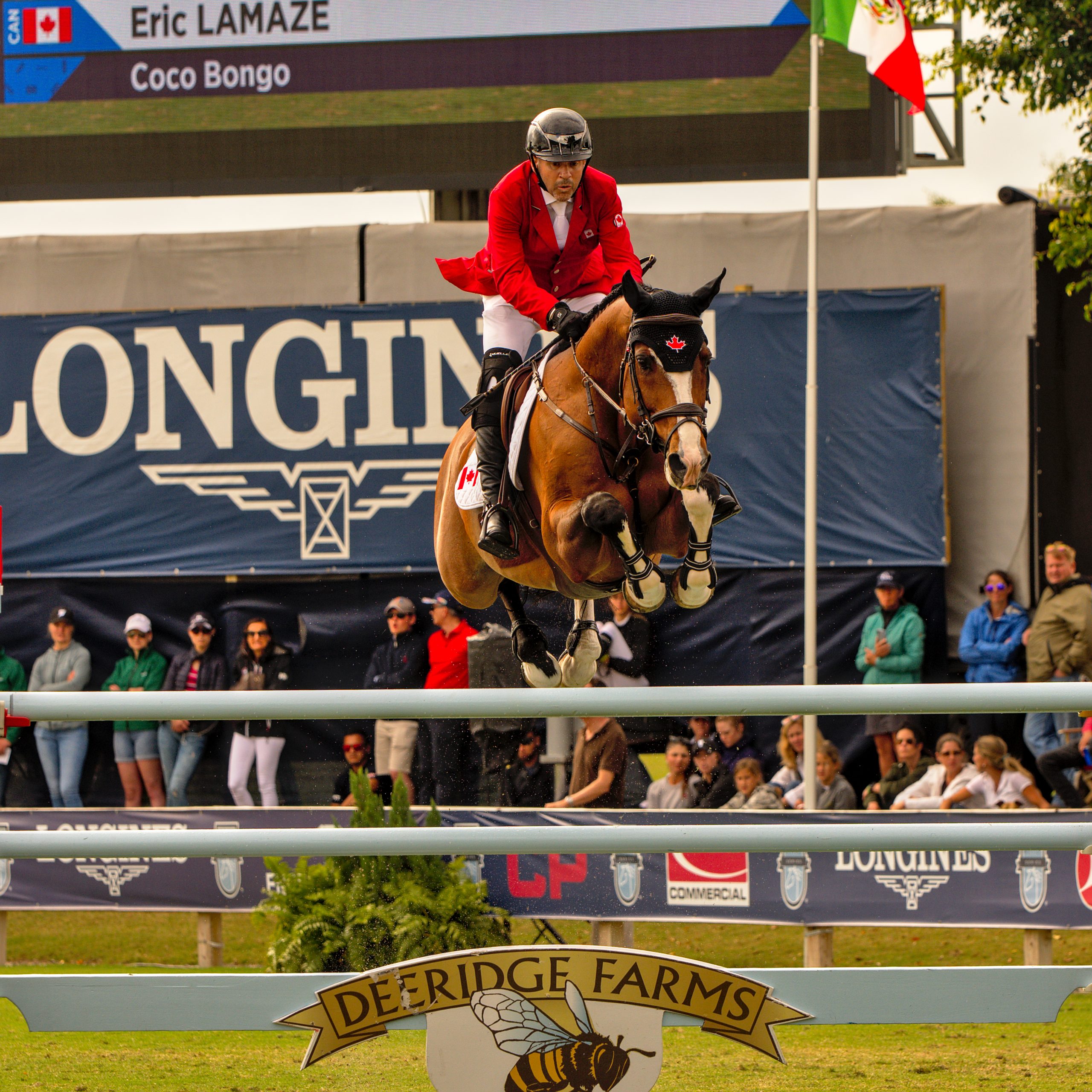 Coco Bongo & Eric Lamaze representing Canada in Longines FEI Jumping Nations Cup at Deeridge Farm.