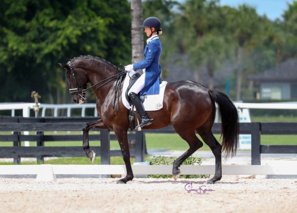 Alice Tarjan (USA) makes a winning debut on Donatella M at big tour, claiming the Lövsta Intermediate II Future Challenge class with 68.456% and bagging a place in the final.