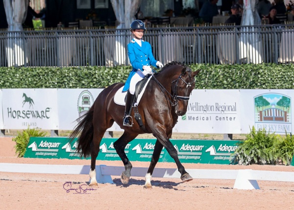 Annelise Klepper is the junior division champion riding the 18hh Happy Texas Moonlight, by Happy Diamond. ©SusanStickle.com