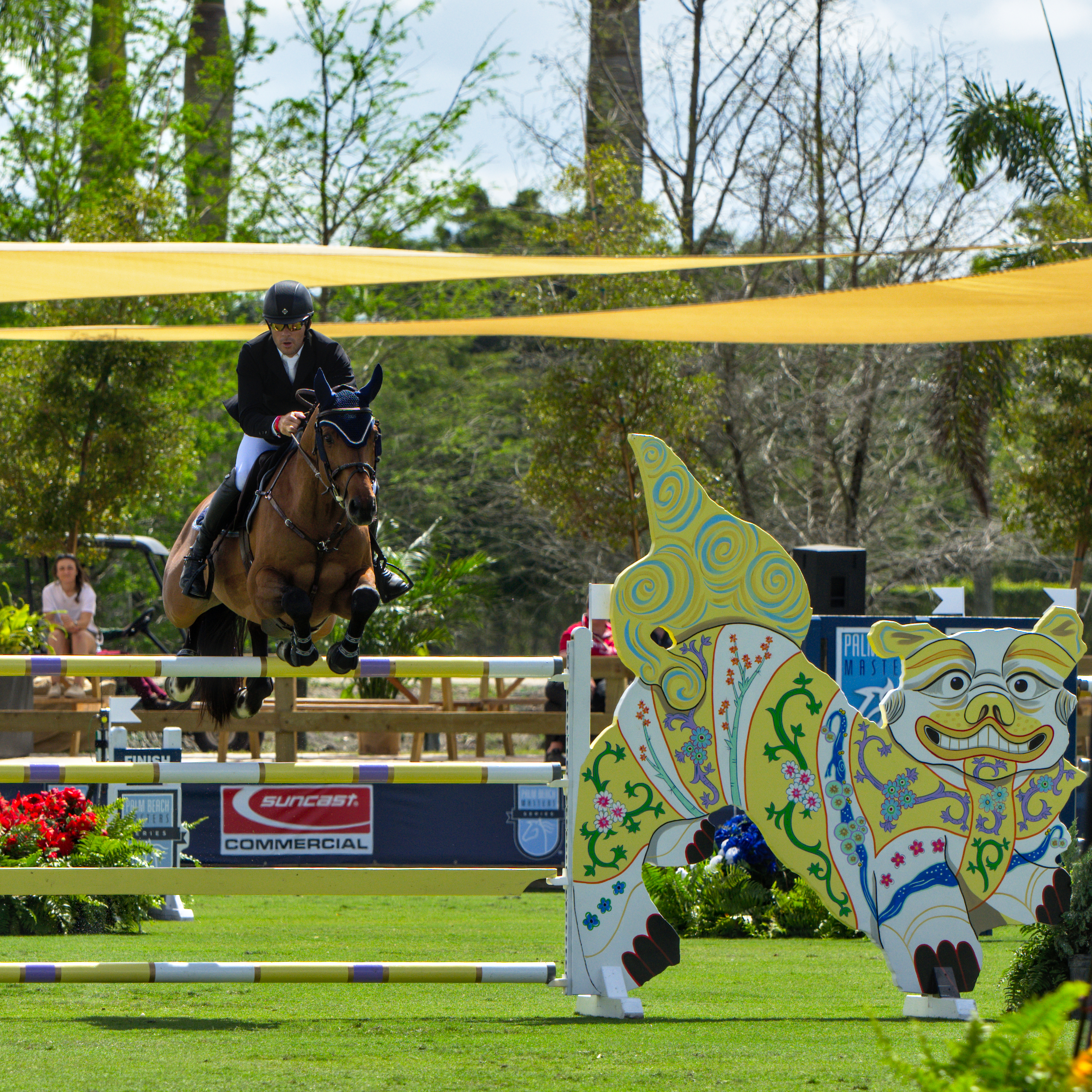  Conor Swail and  GK Coco Chanel jumping towards home.    Photo © @showjumping247 