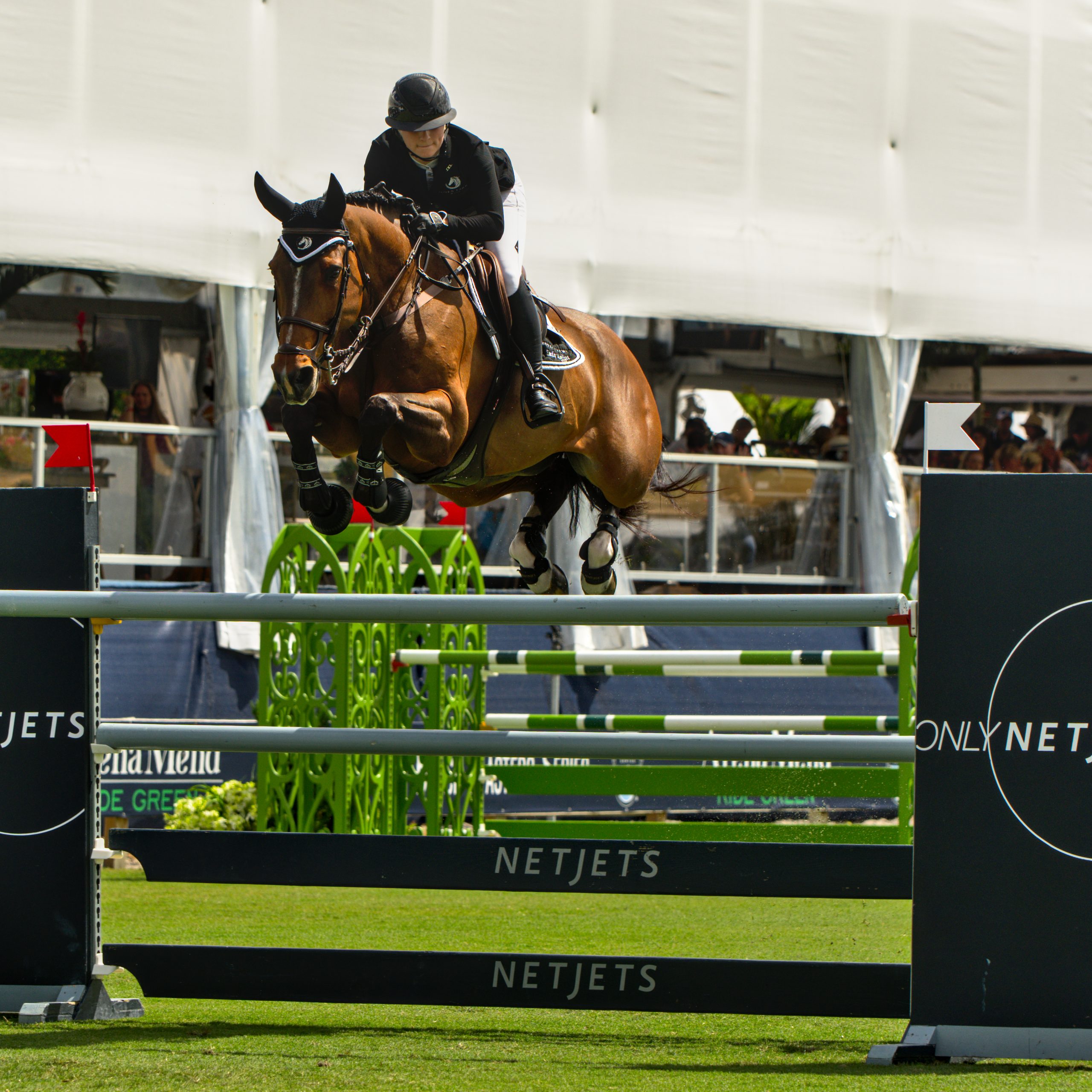  Emily Moffitt and Tipsy du Terral posted a blazing fast jump off time.    Photo © @showjumping247 
﻿