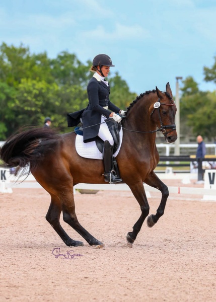 Sarah Lockman (USA) qualifies Dehavilland, by Diamond Hit, for the Summit Farm FEI Prix St. Georges Future Challenge final, where he will be joined by her other qualified horse, Balia.