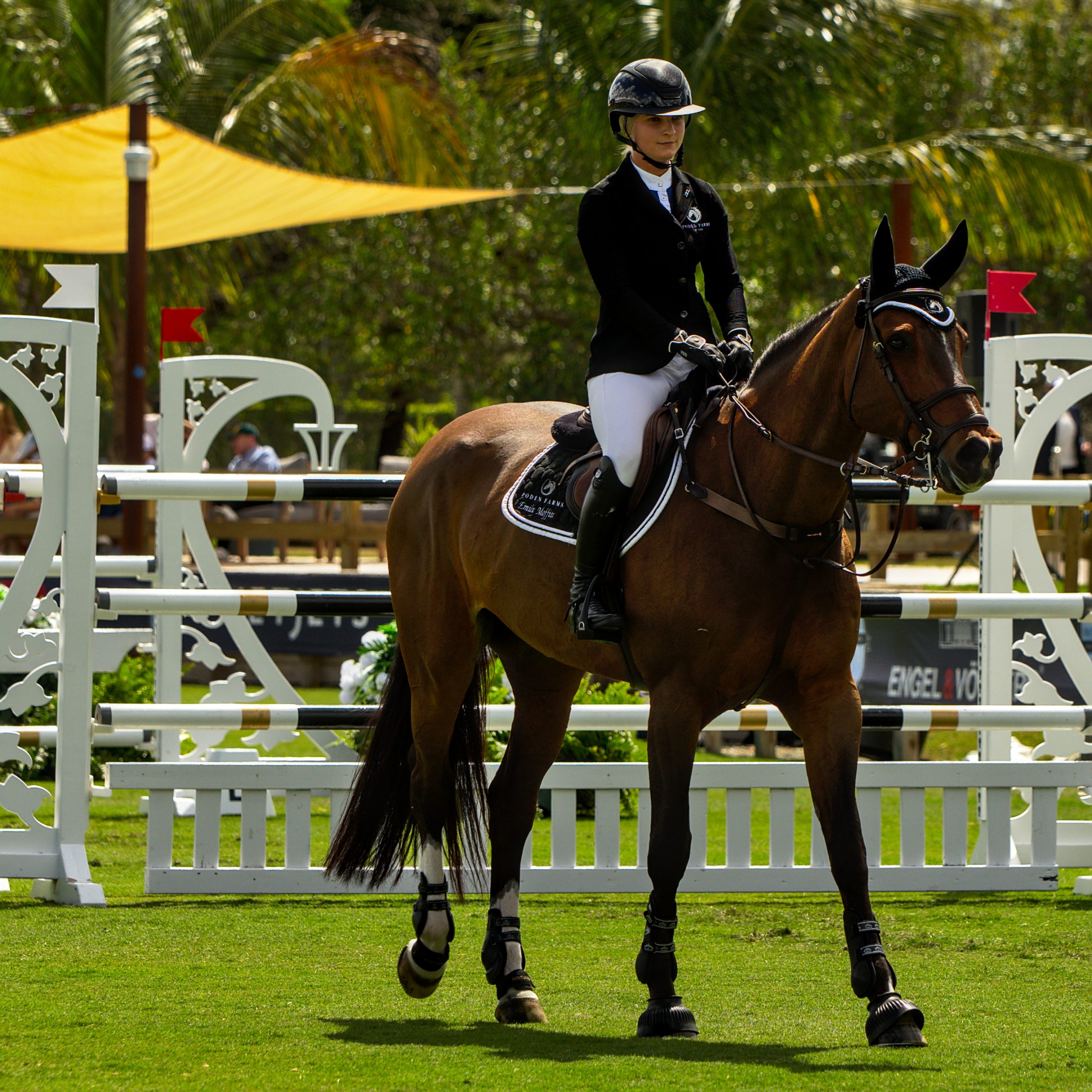 Tipsy du Terral and Emily Moffitt making a final look at course before jump off.   Photo © @showjumping247     