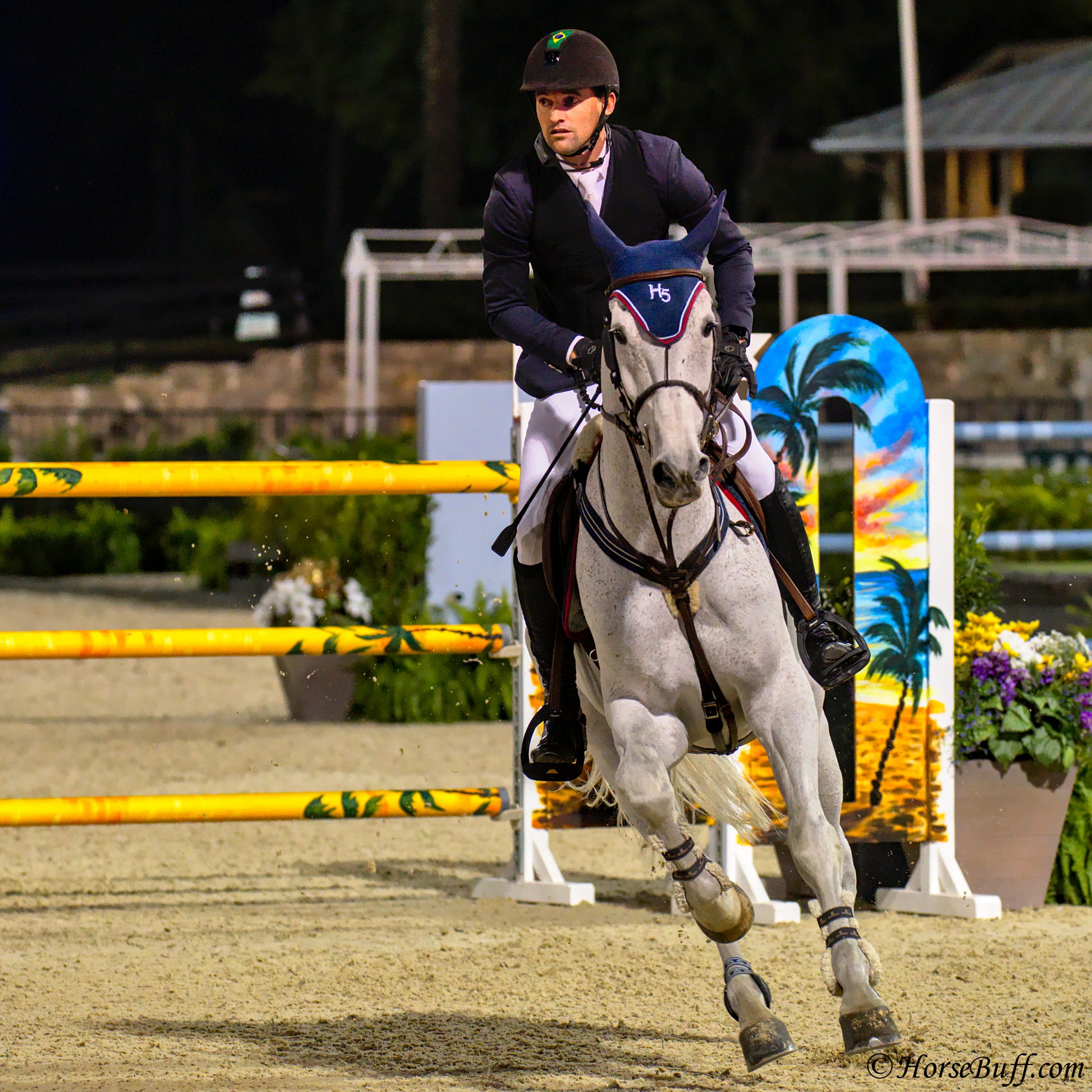 EDUARDO MENEZES on H5 QUINTOL© HorseBuff.com