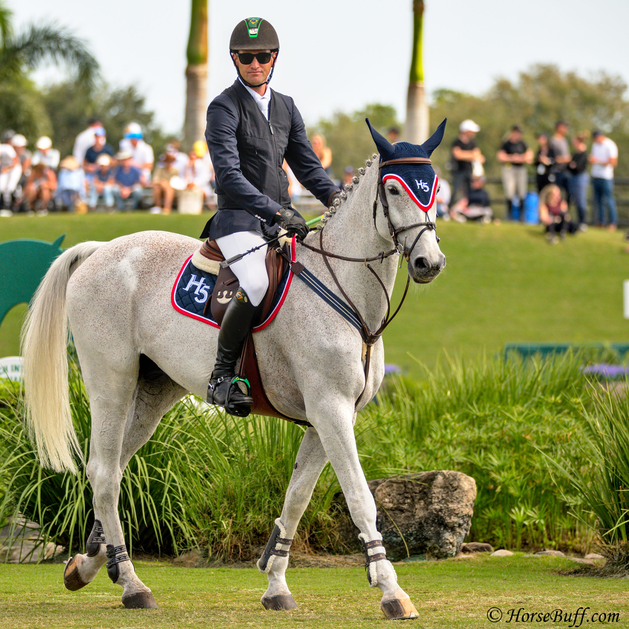 EDUARDO PEREIRA DE MENEZES_H5 QUINTOL_HorseBuff