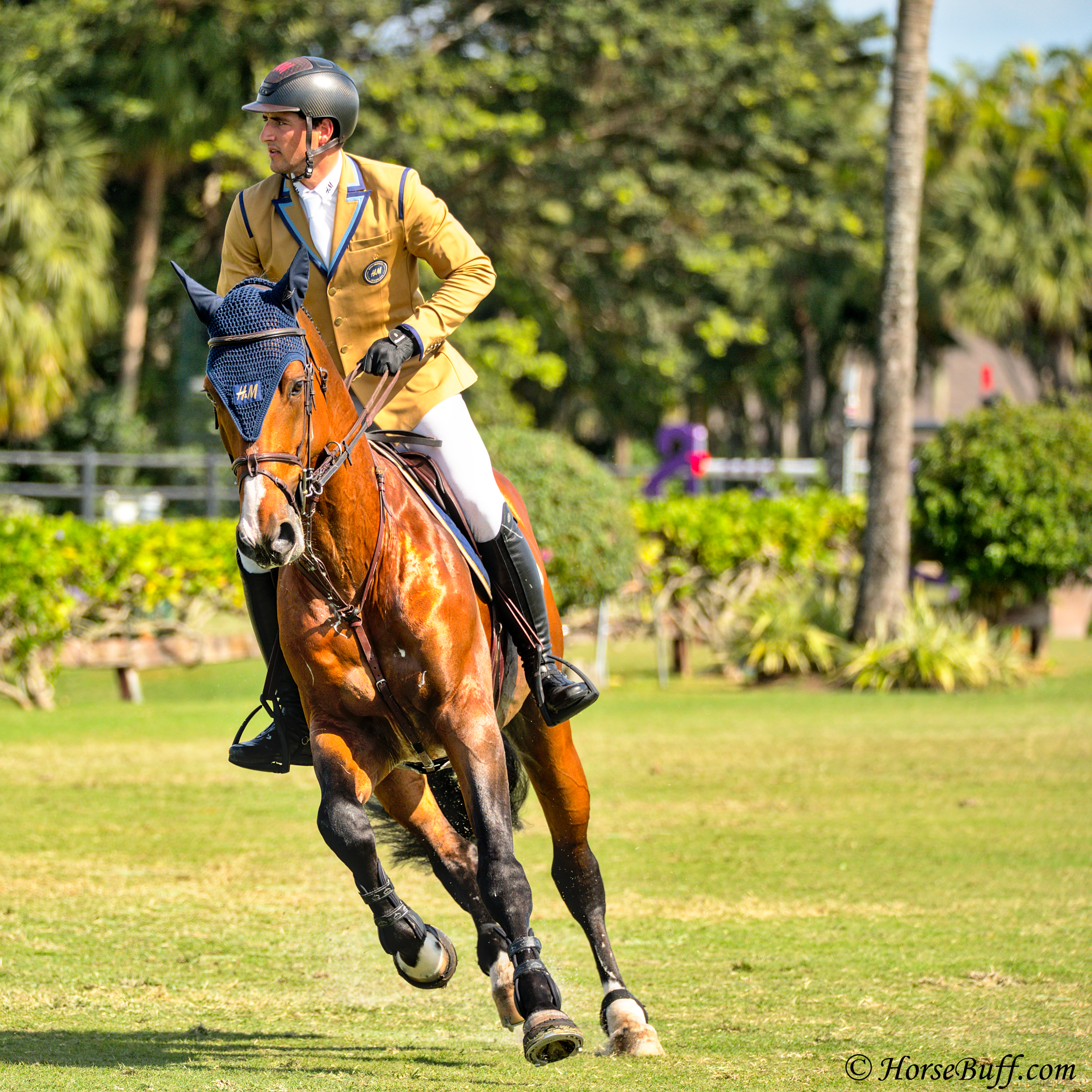 NICOLA PHILIPPAERTS_GIJS_HorseBuff