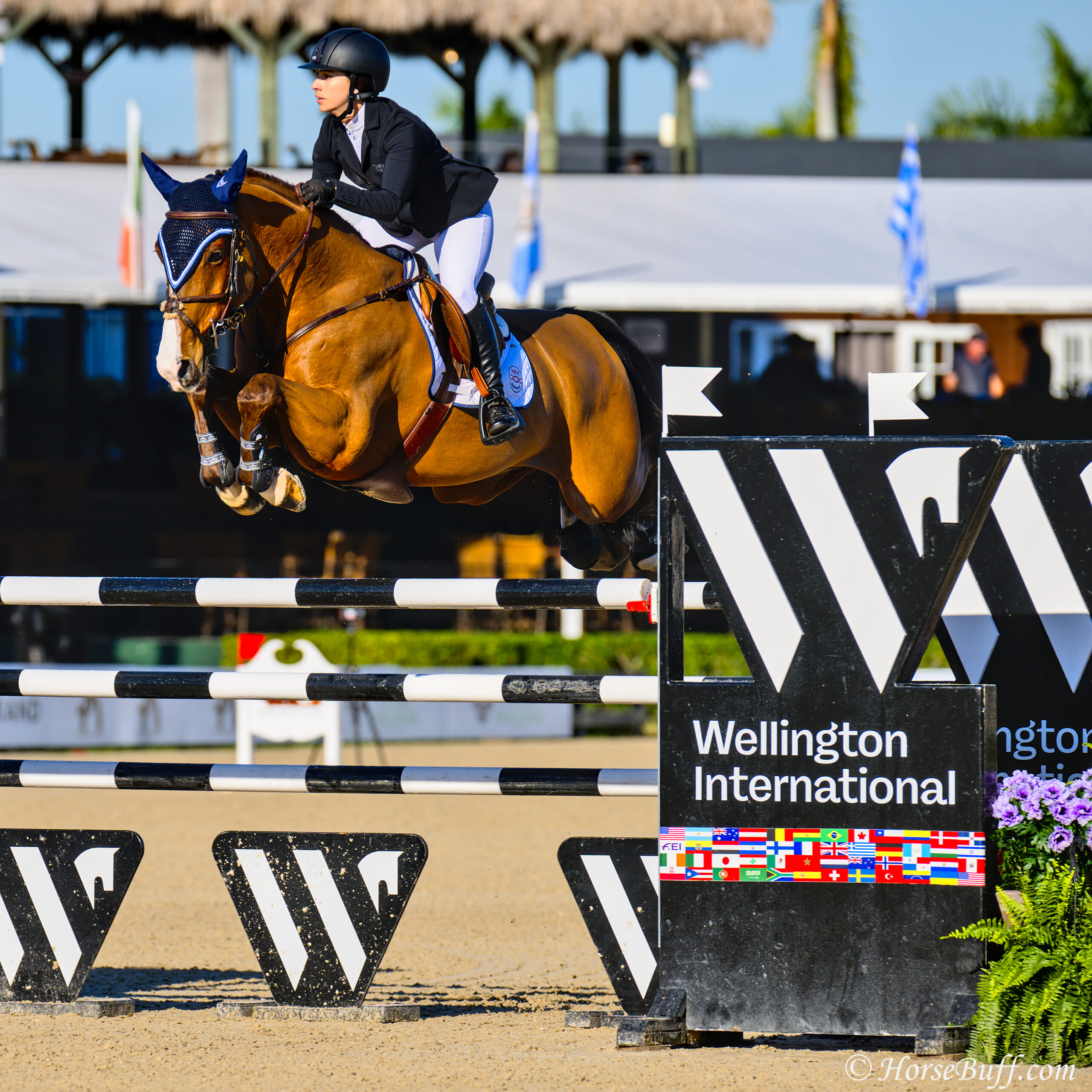 CATHERINE PASMORE and CINNAMO place 2nd in the 1.45m Open Jumper (II2b) © HorseBuff.com