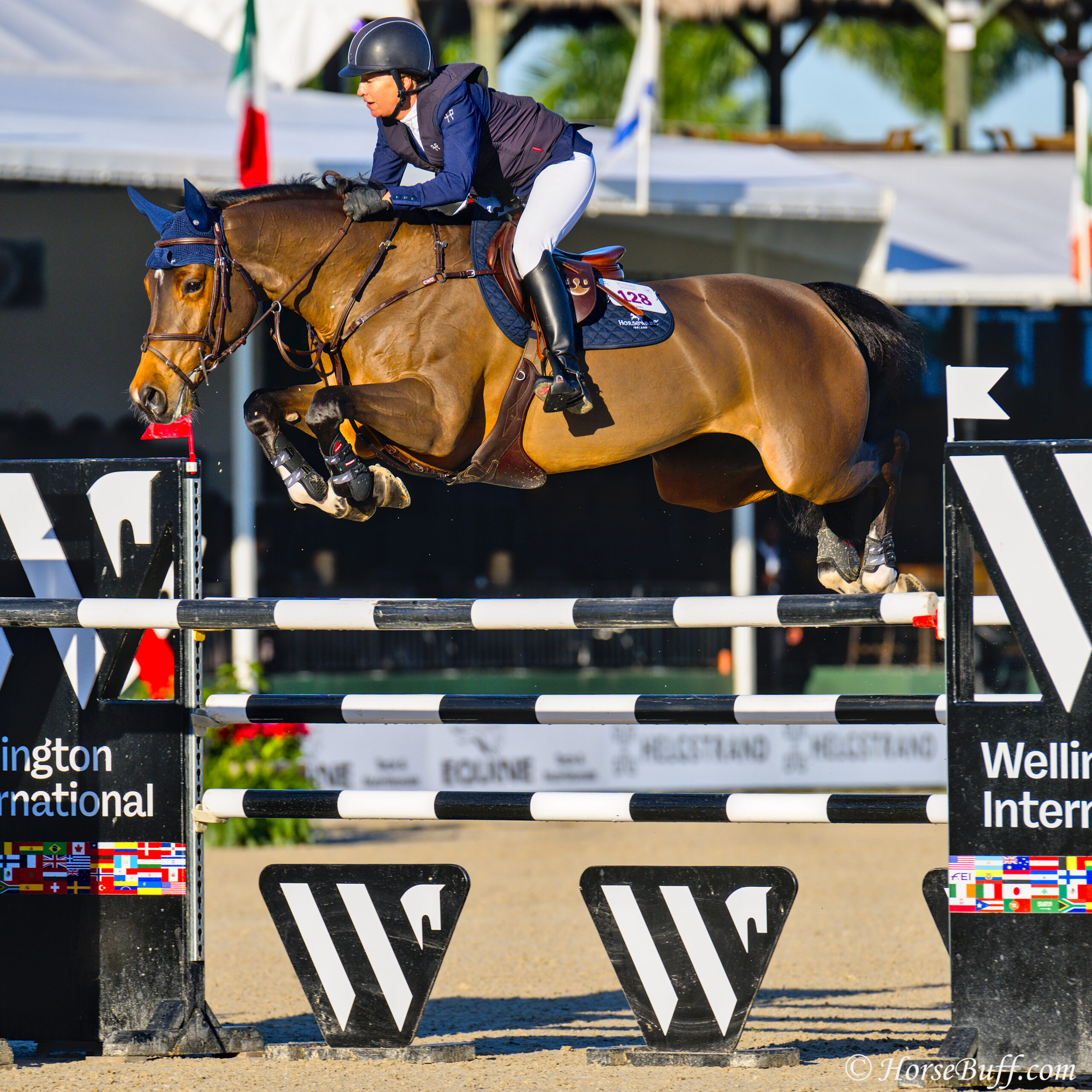 LAURA KRAUT and BISQUETTA place 3rd in the 1.45m Open Jumper (II2b) © HorseBuff.com