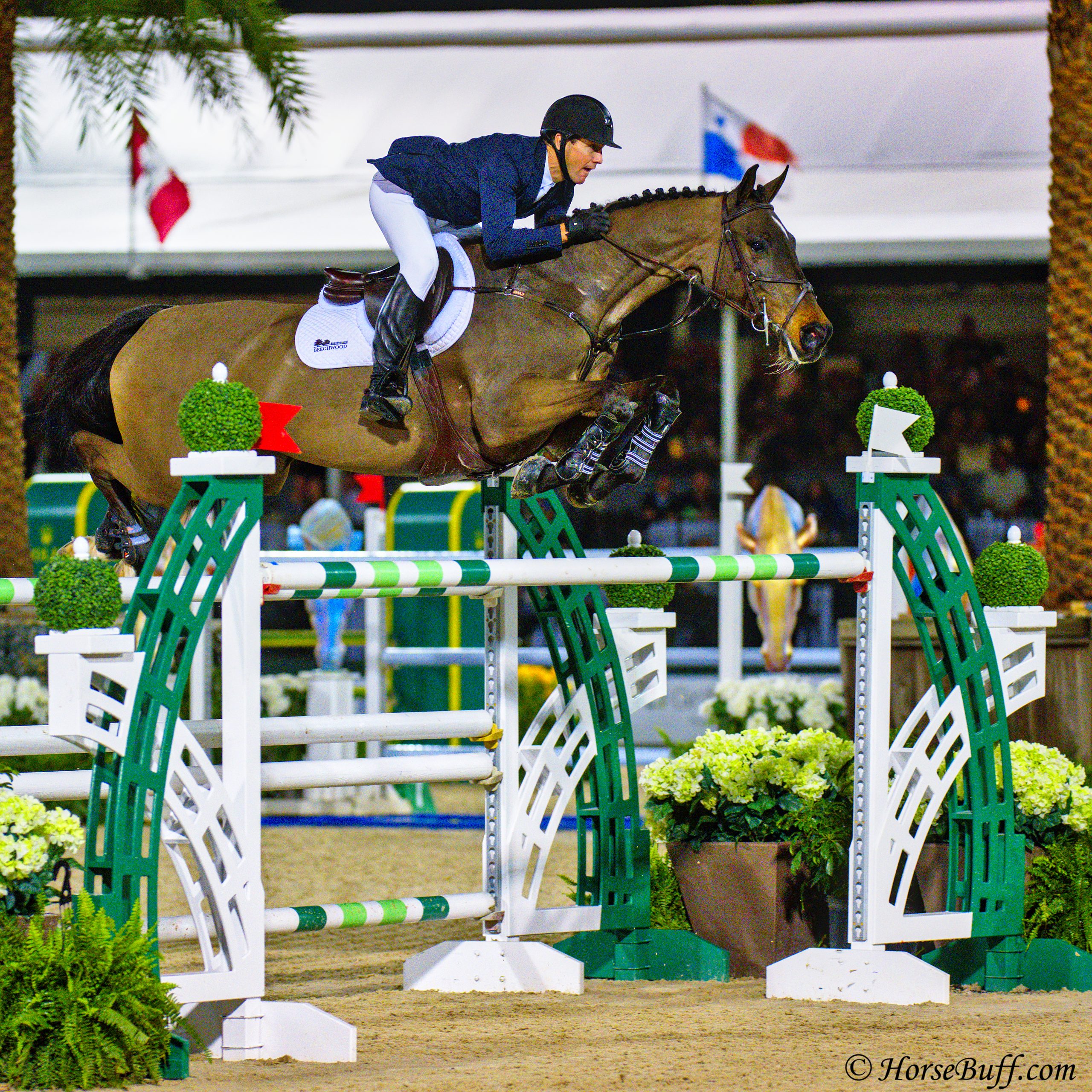 Mclain Ward and Callas win the CHF406,000 Fidelity Investments CSI5* Grand Prix. Photo © HorseBuff.com