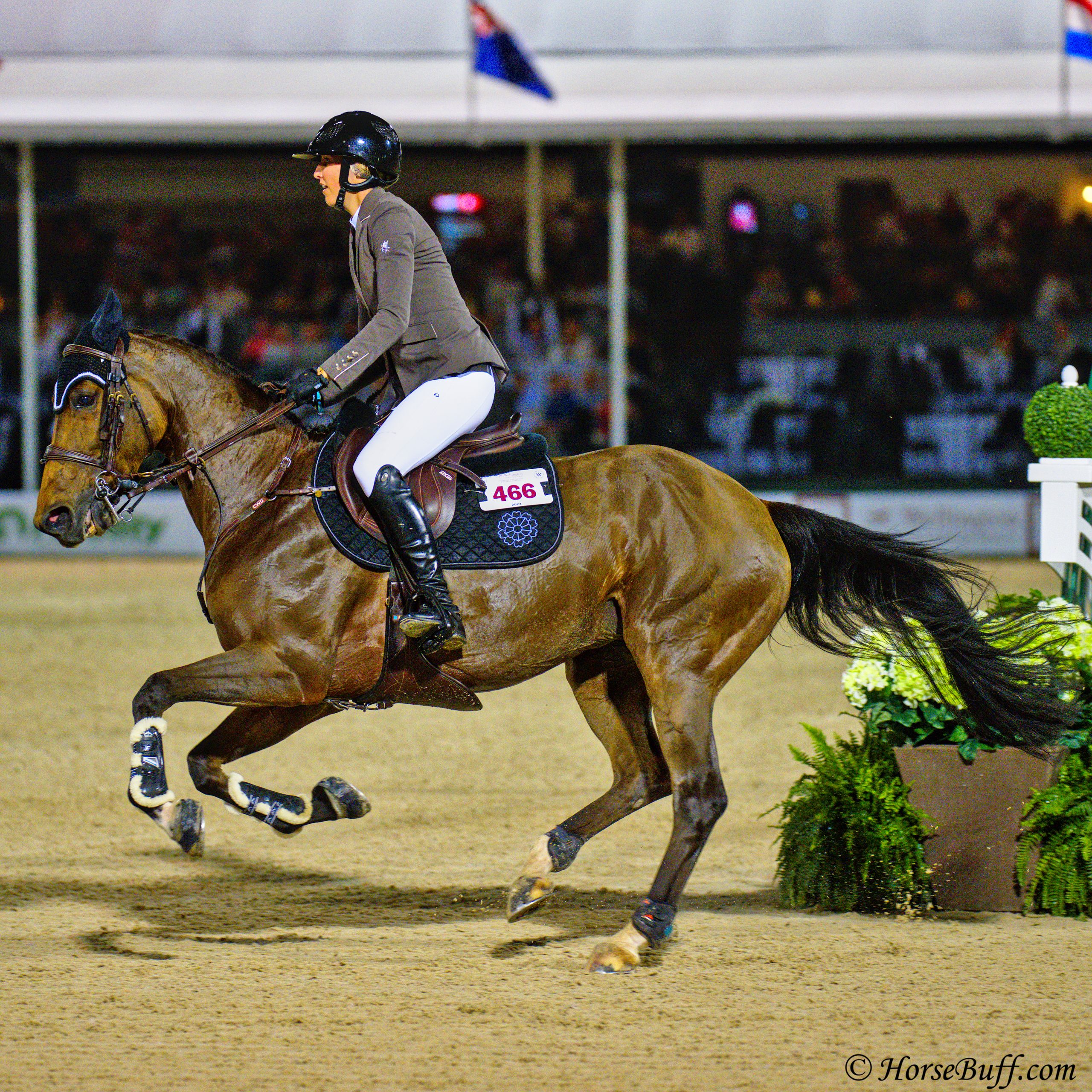 NATALIE DEAN and ACOTA taking 4th Place and winning $42.500.00 in the CHF406,000 Fidelity Investments CSI5* Grand Prix in Wellington FL. Photo © HorseBuff.com