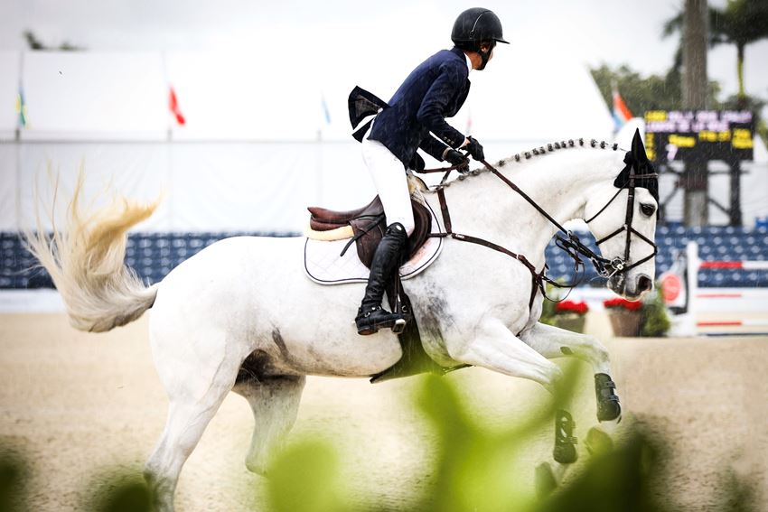 
          Molly Ashe Cawley & Loukas De La Noue in the $25,000 ProElite Holiday III Grand Prix © Cassidy Klein