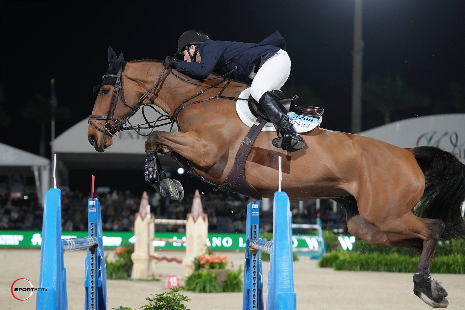 Mclain Ward & High Star Hero. Photo © Sportfot